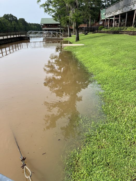 Caddo Lake Flooding | Captain Ron’s Swamp Tours